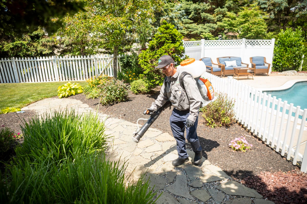 An Inside Look at Pest Control Technician Jobs at Joshua ...