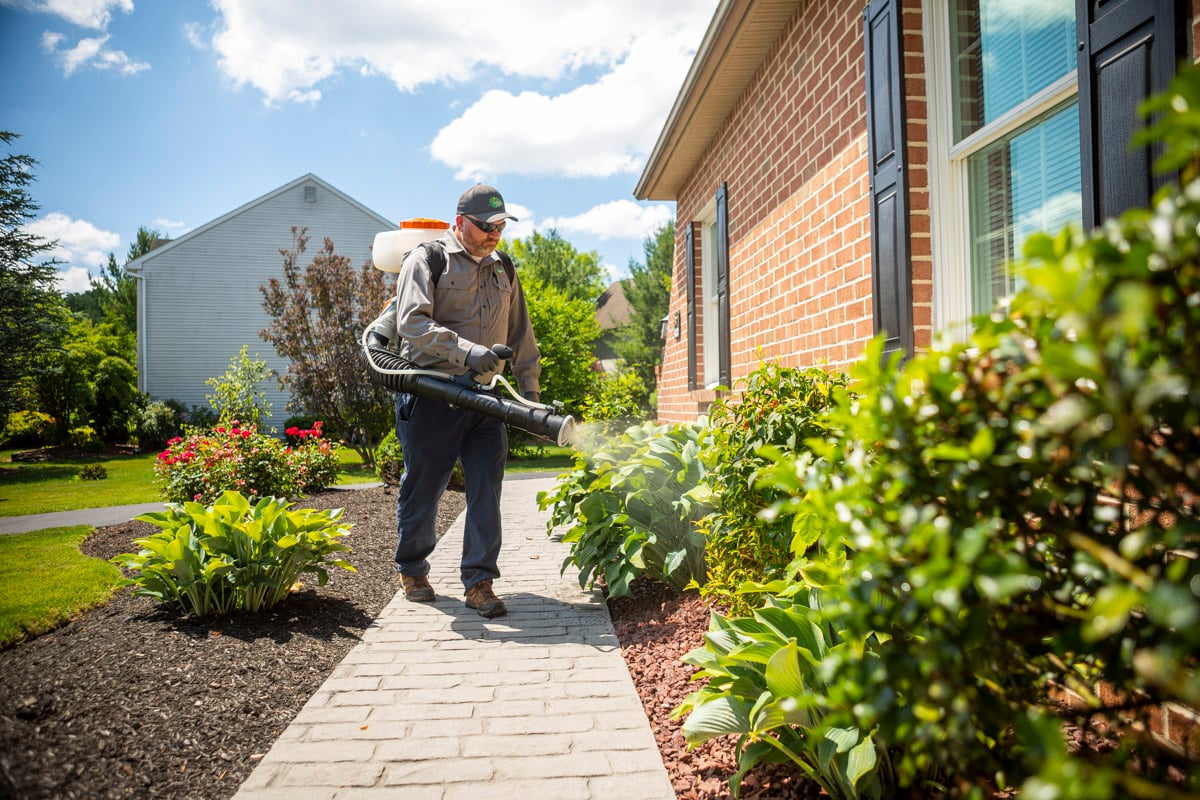 pest control techncian sprays shrubs near home