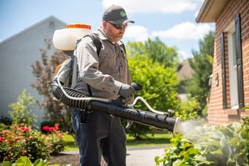 Joshua Tree pest control technician spraying for mosquitoes