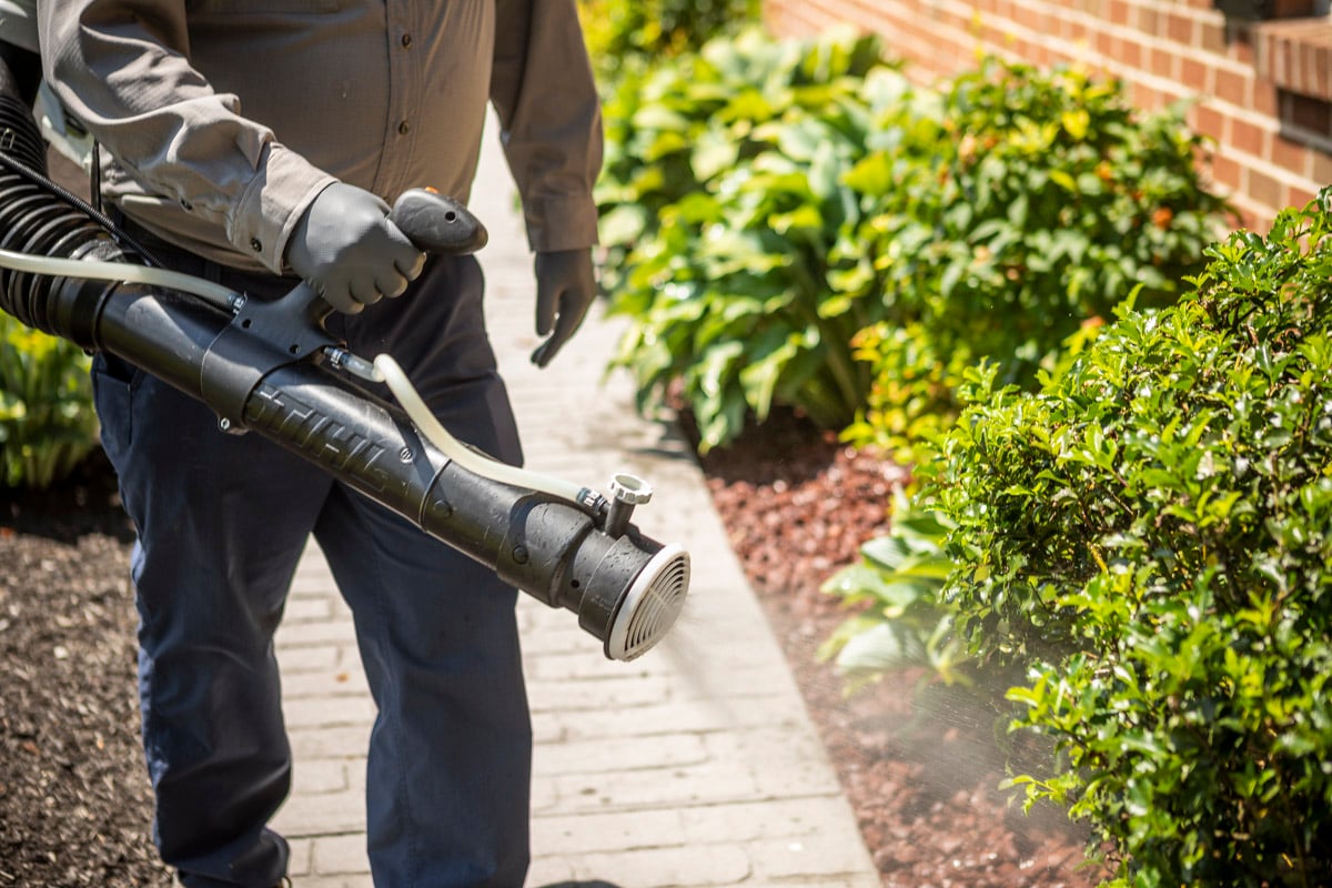 pest control technician sprays for mosquitoes