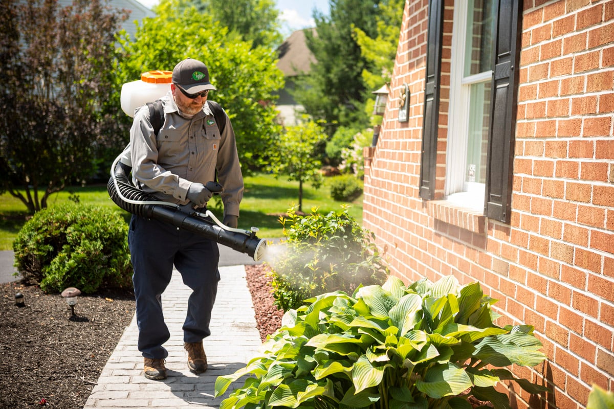 pest control technician sprays for mosquitoes