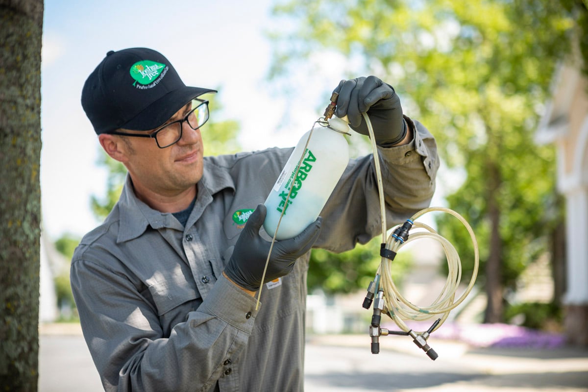 tree expert prepares tree injection 