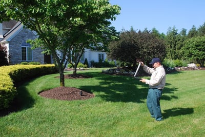 lawn care professional diagnosing lawn problem