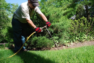 Tree fertilization service, costs, and methods in Allentown, Bethlehem, and Easton, PA.