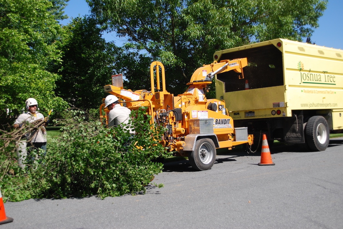 Joshua Tree tree removal truck