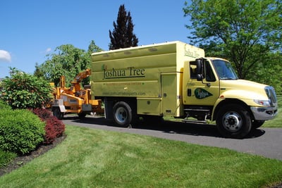 Joshua Tree tree service truck in Easton, PA