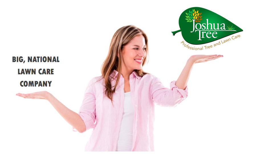 Joshua Tree vs. Trugreen Which is the Best Lawn Care Choice in