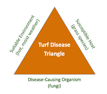 lawn disease diagnosis graph