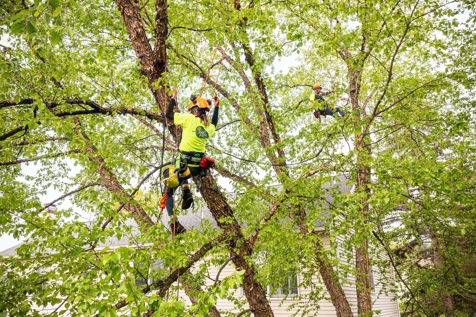 JoshuaTree_050224_0140