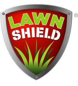 Joshua Tree Lawn Shield