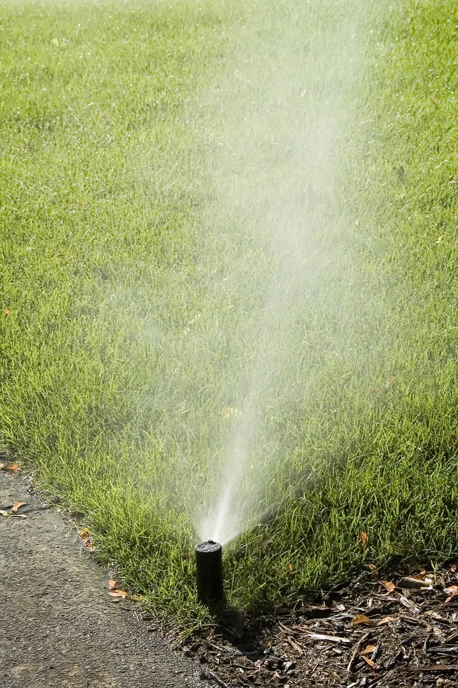 Automatic sprinkler misting corner of green lawn