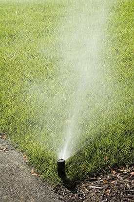 How to get rid of crabgrass with crabgrass preventer, spraying crabgrass and more.