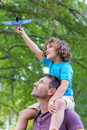 Cost and health benefits of proactive tree trimming services in Allentown, PA