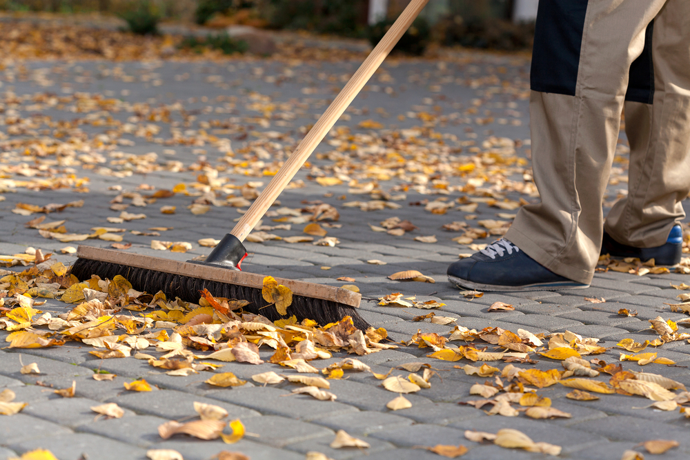 leaves being moved with push broom