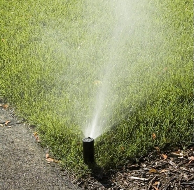 sprinkler head waters grass