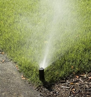 lawn watering for brown spots