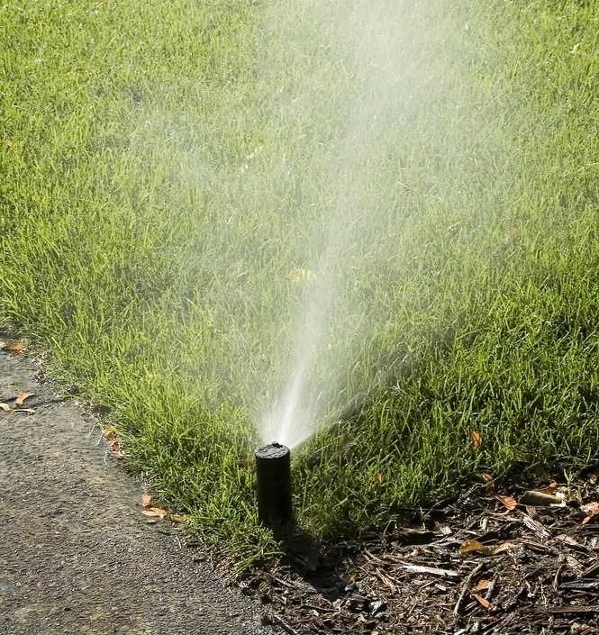 sprinkler head waters grass