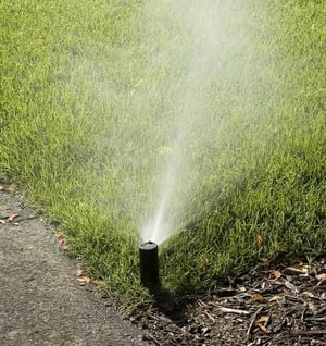 Irrigation head spraying lawn during drought