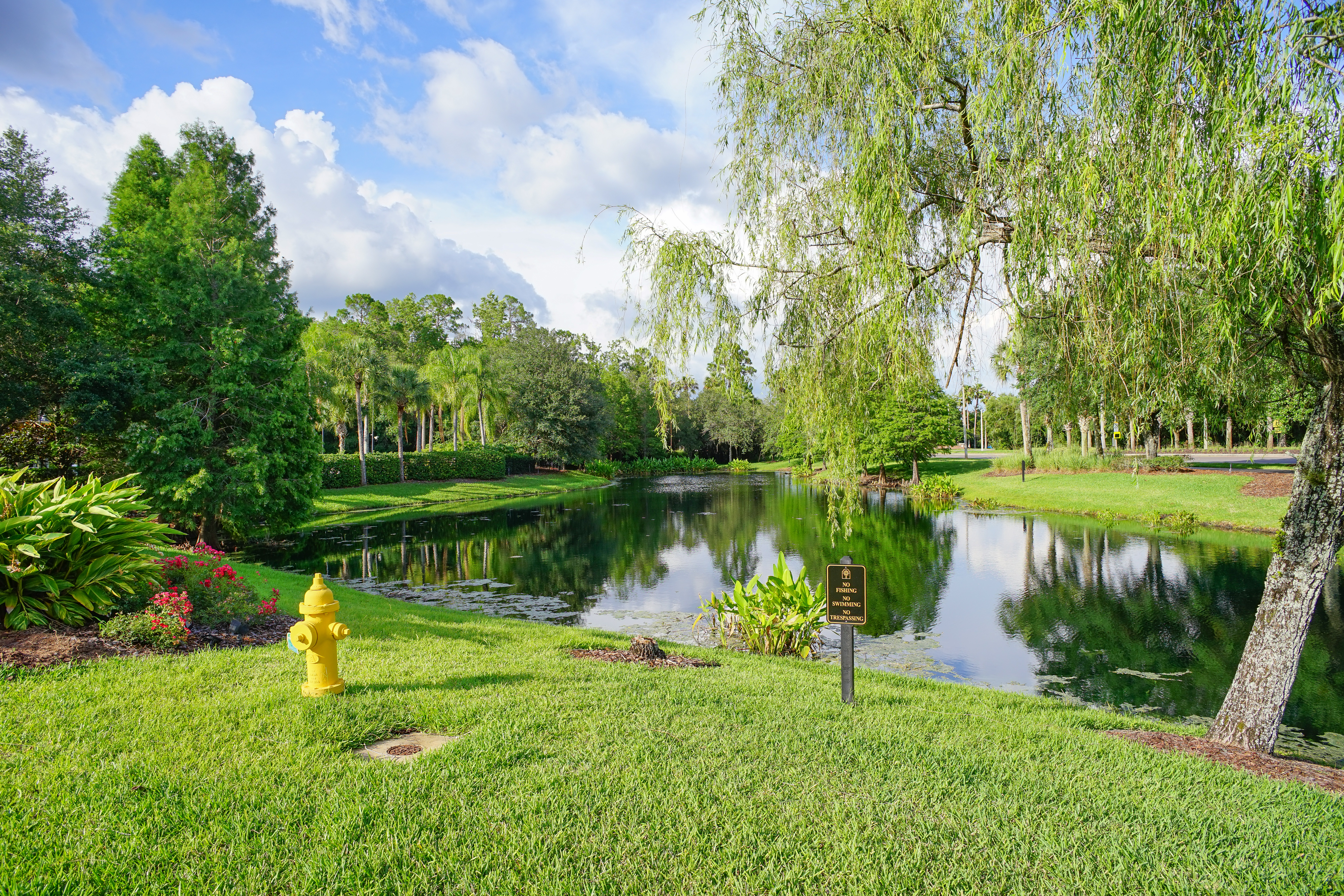 South Jacksonville Tree Care, Lawn Care & Pest Control | Joshua Tree ...