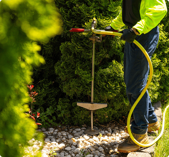 deep root fertilization deep root fertilization