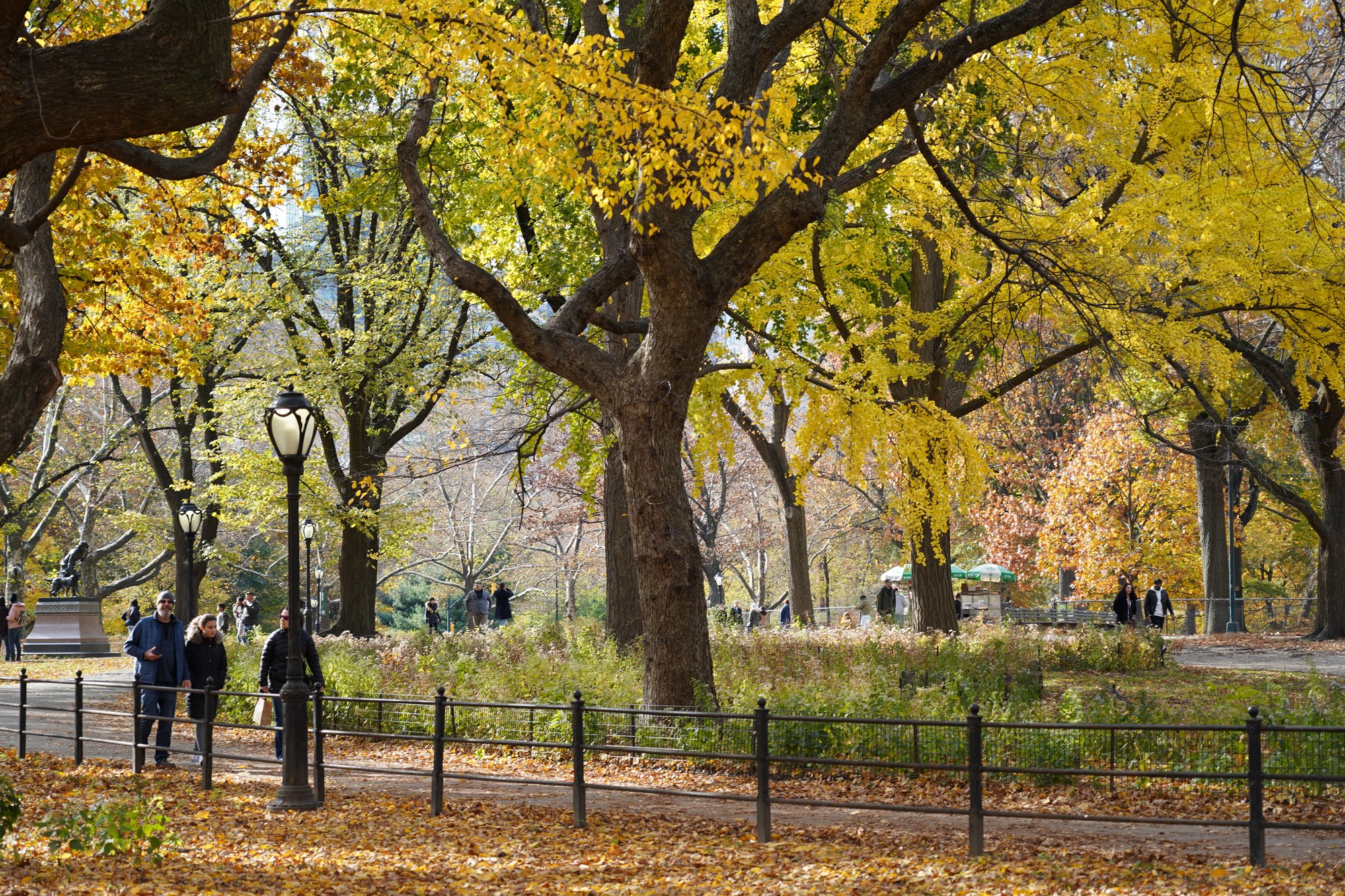 dreamstime_xxl_237672588