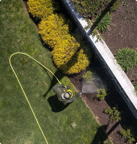 Commercial Pest Control Services