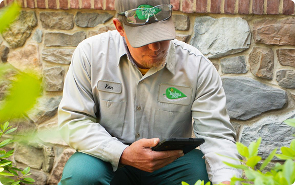Joshua Tree experts technician