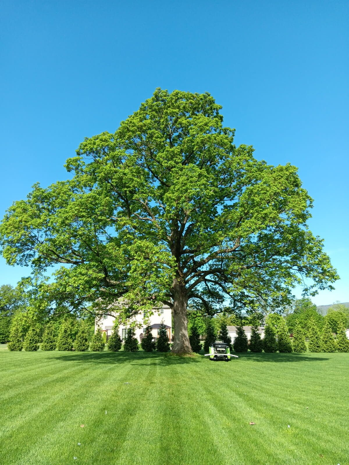 image000000 (2)