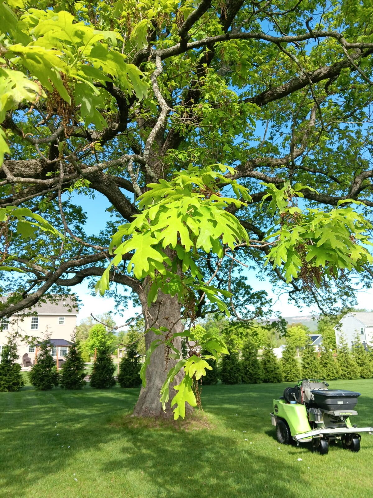 image000000