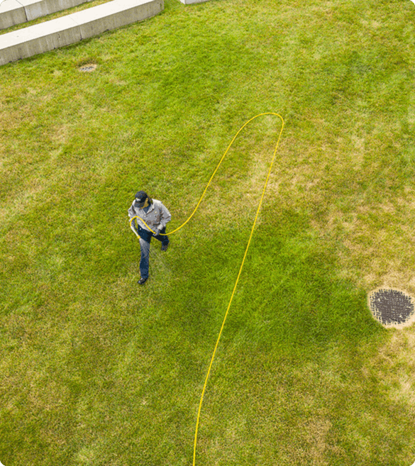lawn care services