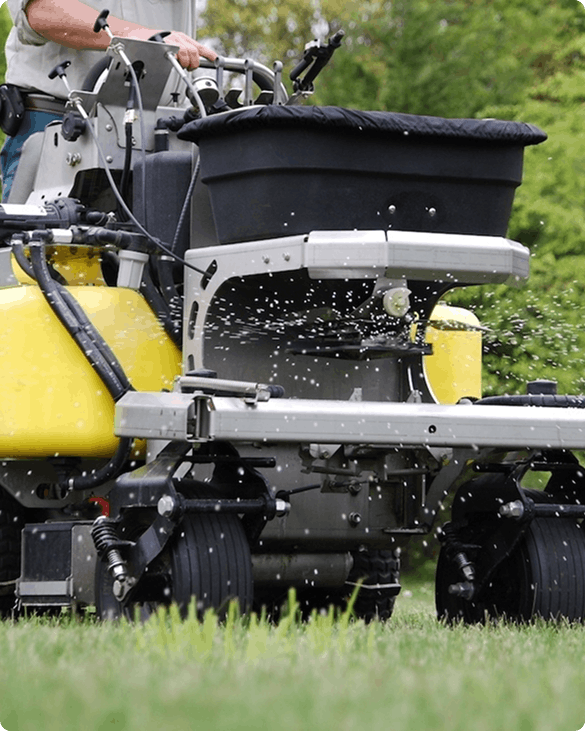 lawn fertilizing lawn fertilizing