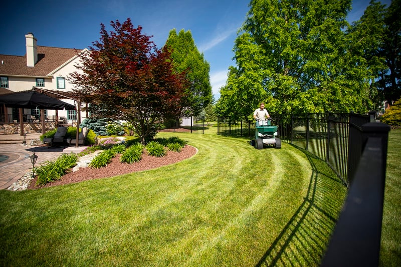 lawn care service caring for healthy grass