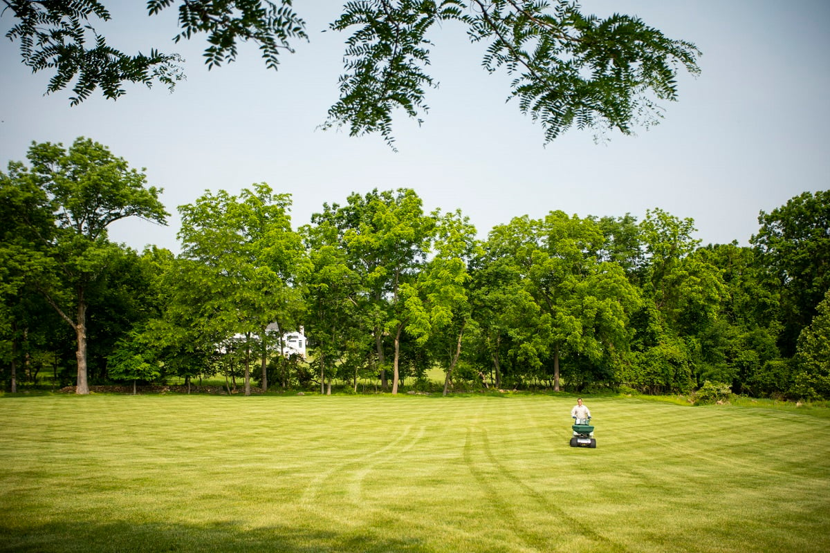 large yard surrounded by trees