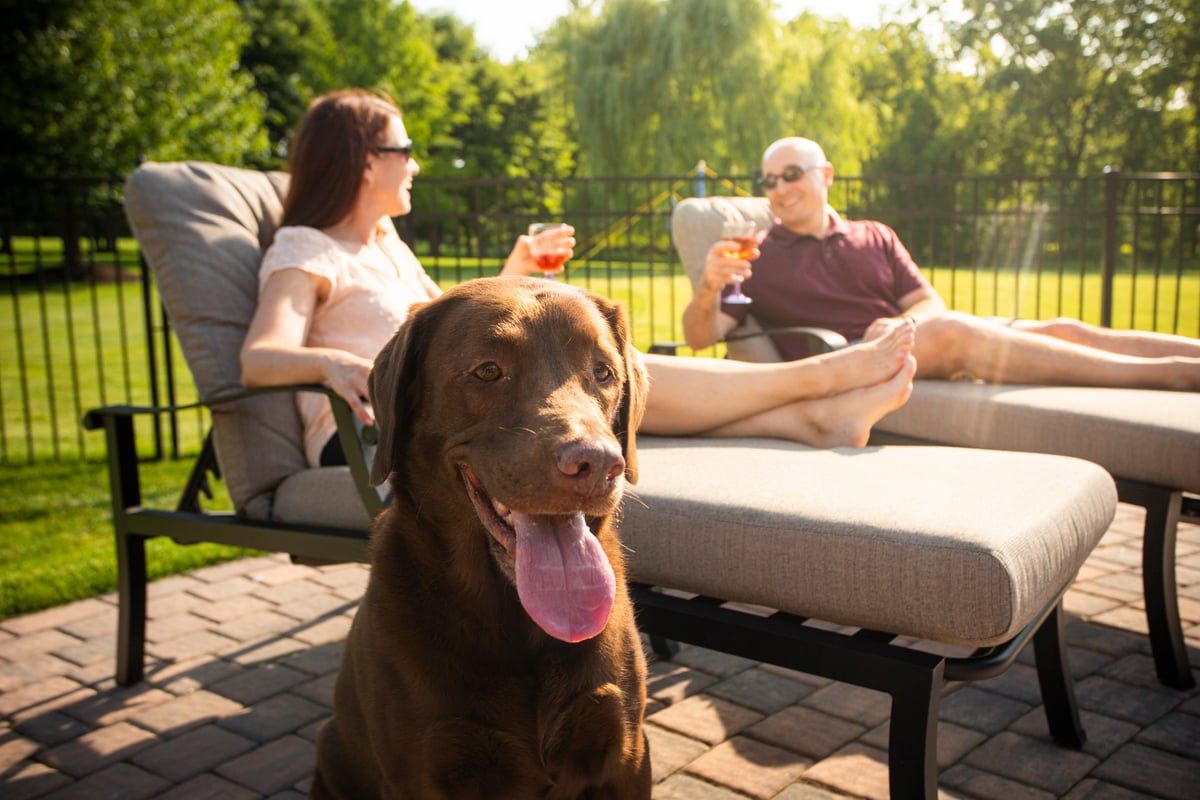 dog sits on patio with owners outside