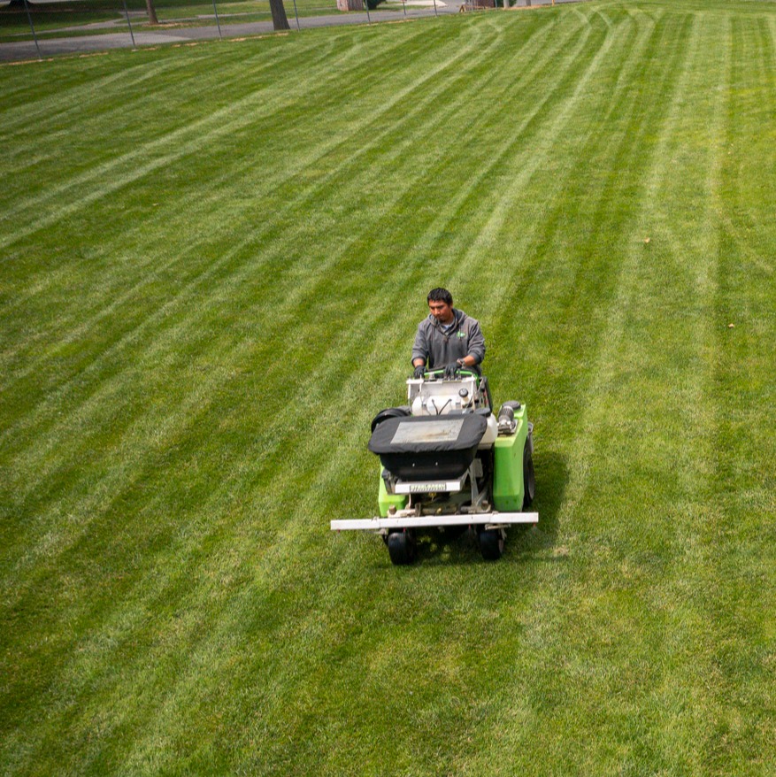 lawn care technician seeding lawn in Chalfont, PA