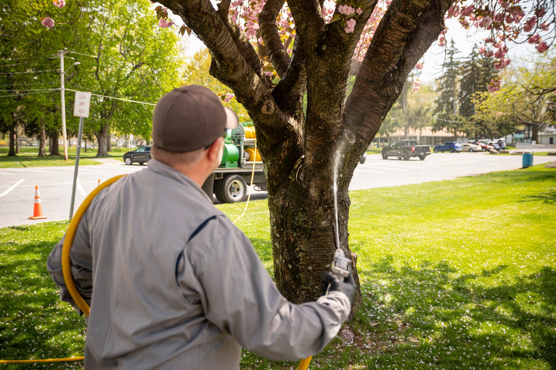 Commercial tree care technician spraying park 22