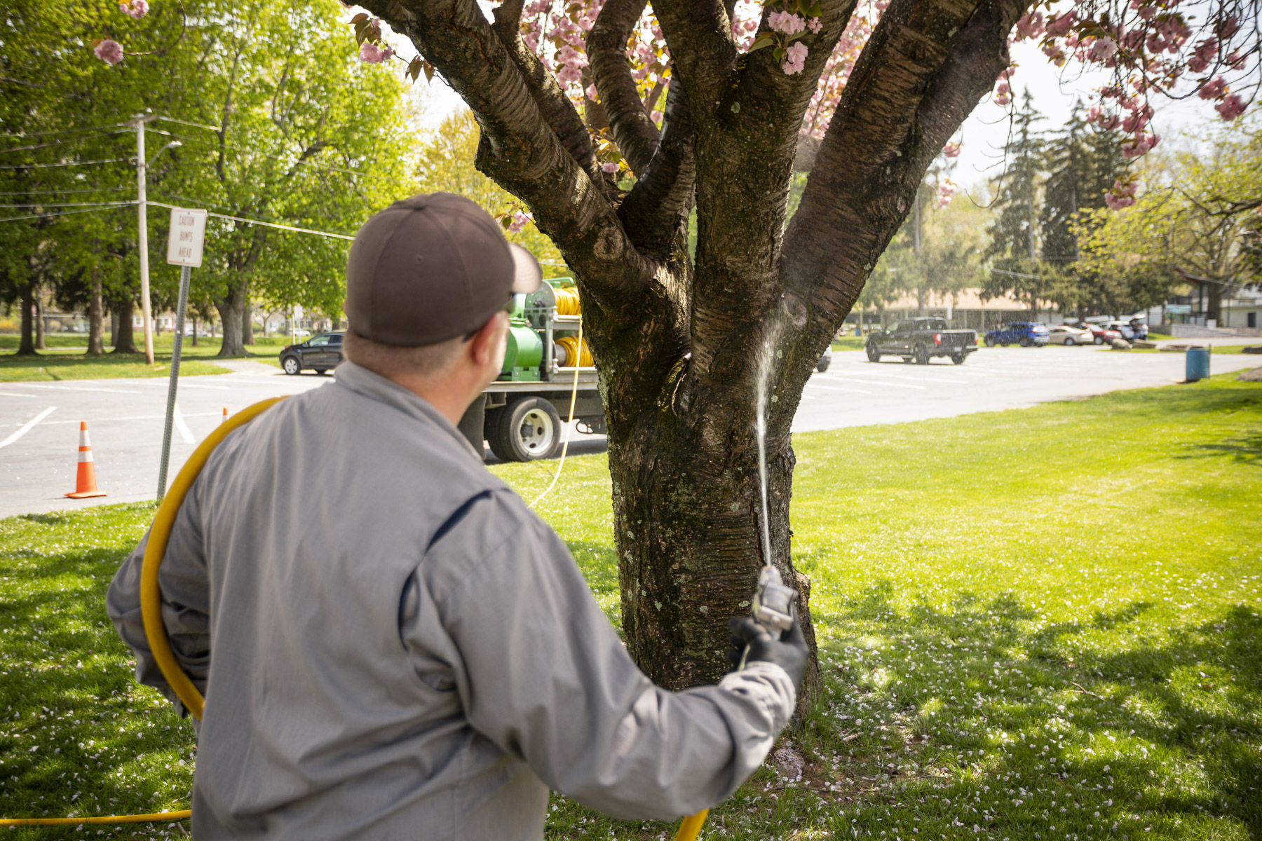 Commercial tree care technician spraying park 22