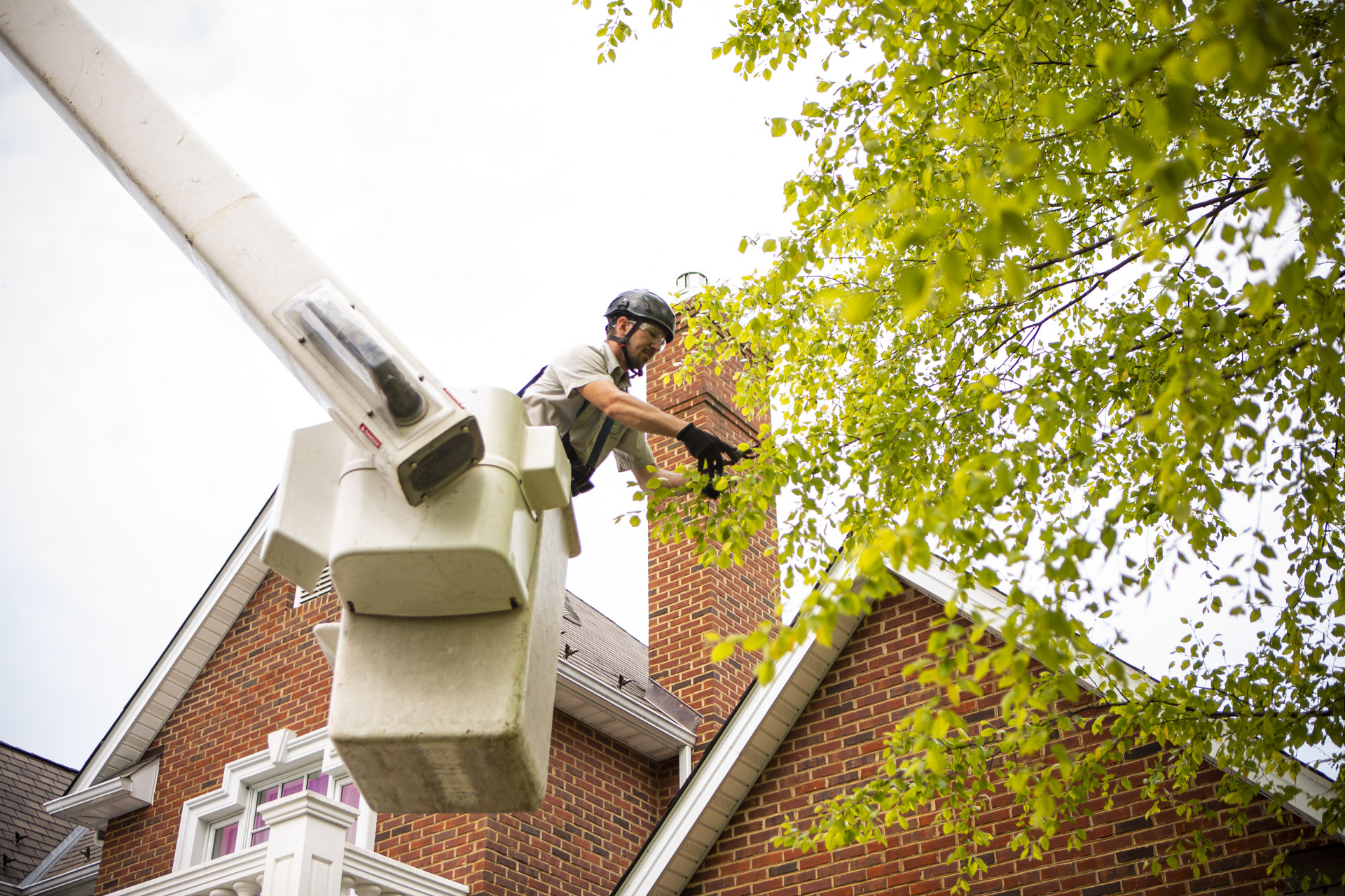 Tree care technician