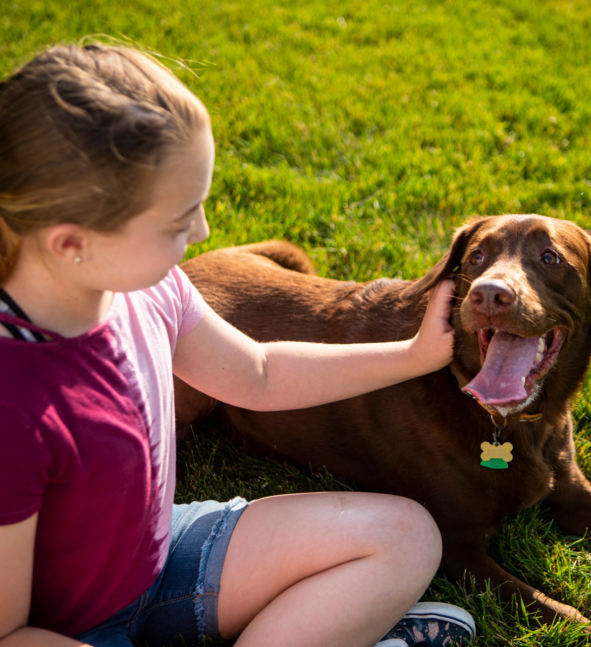 child and dog in lawn