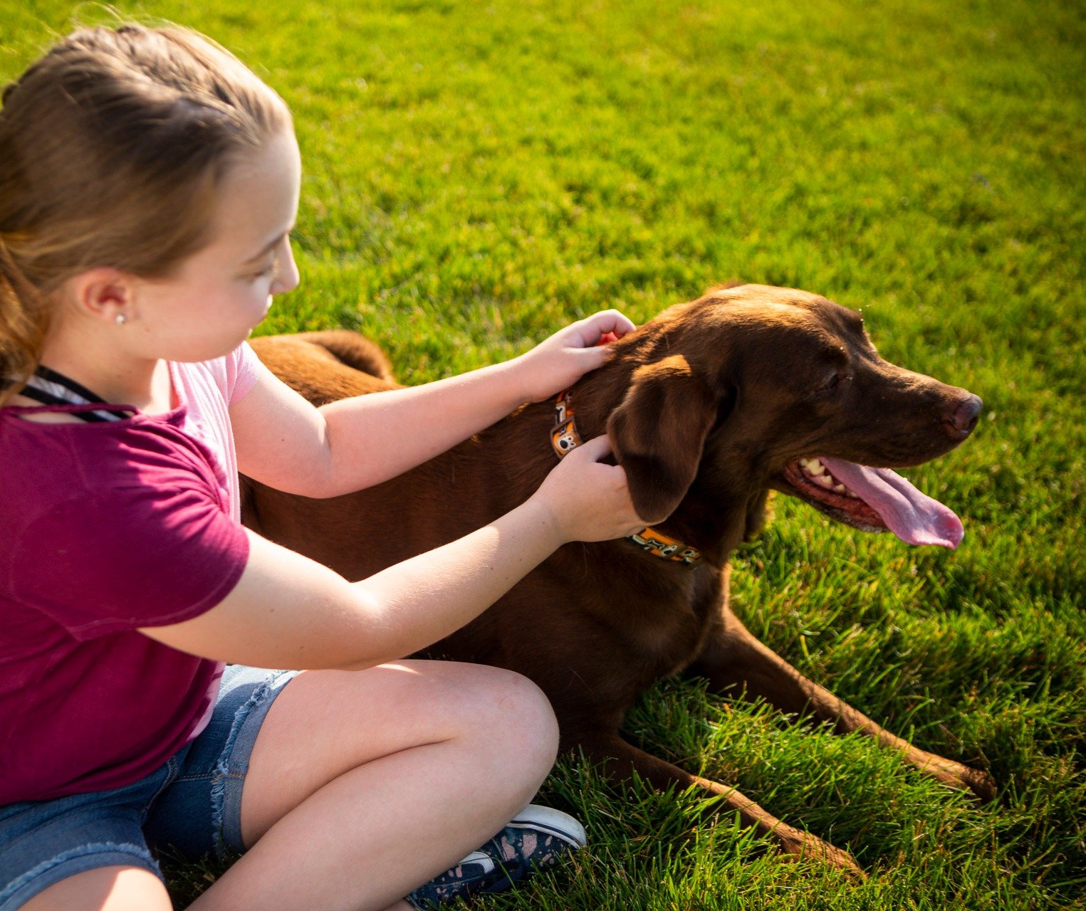 Child and dog in lawn with flea and tick control