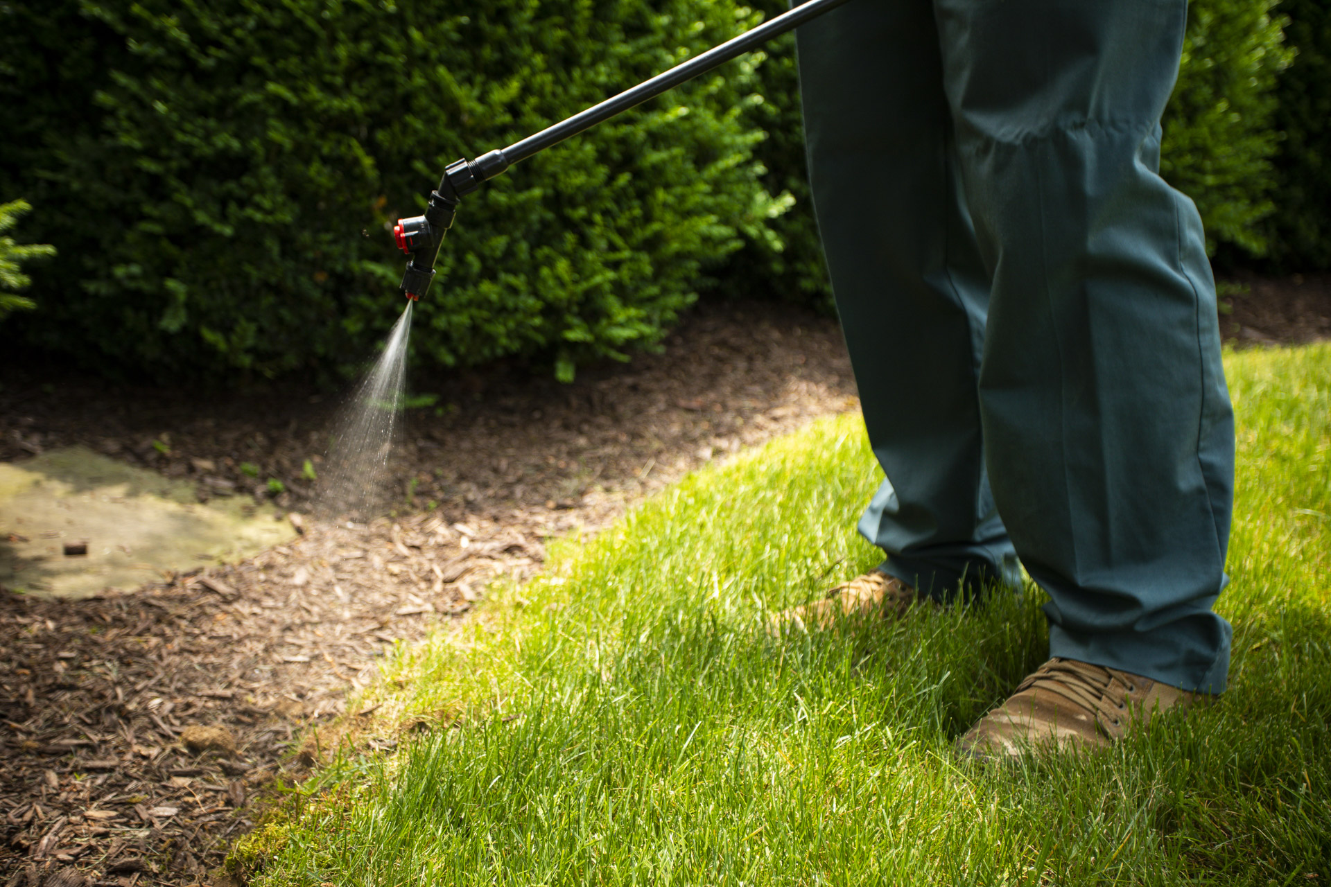 weed control technician spraying