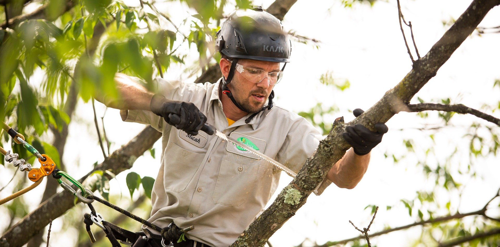 tree pruning middletown ny