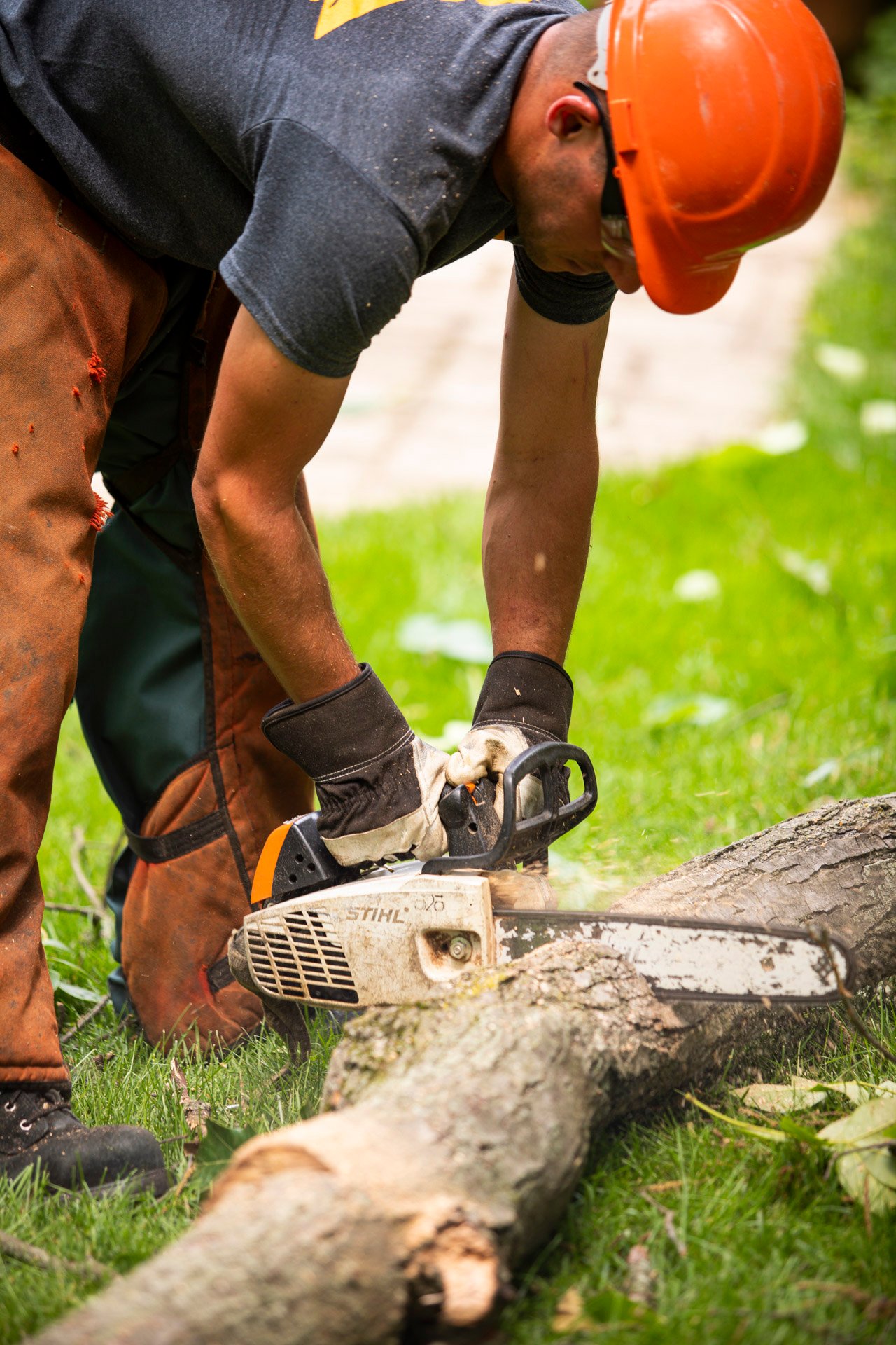 tree removal technician