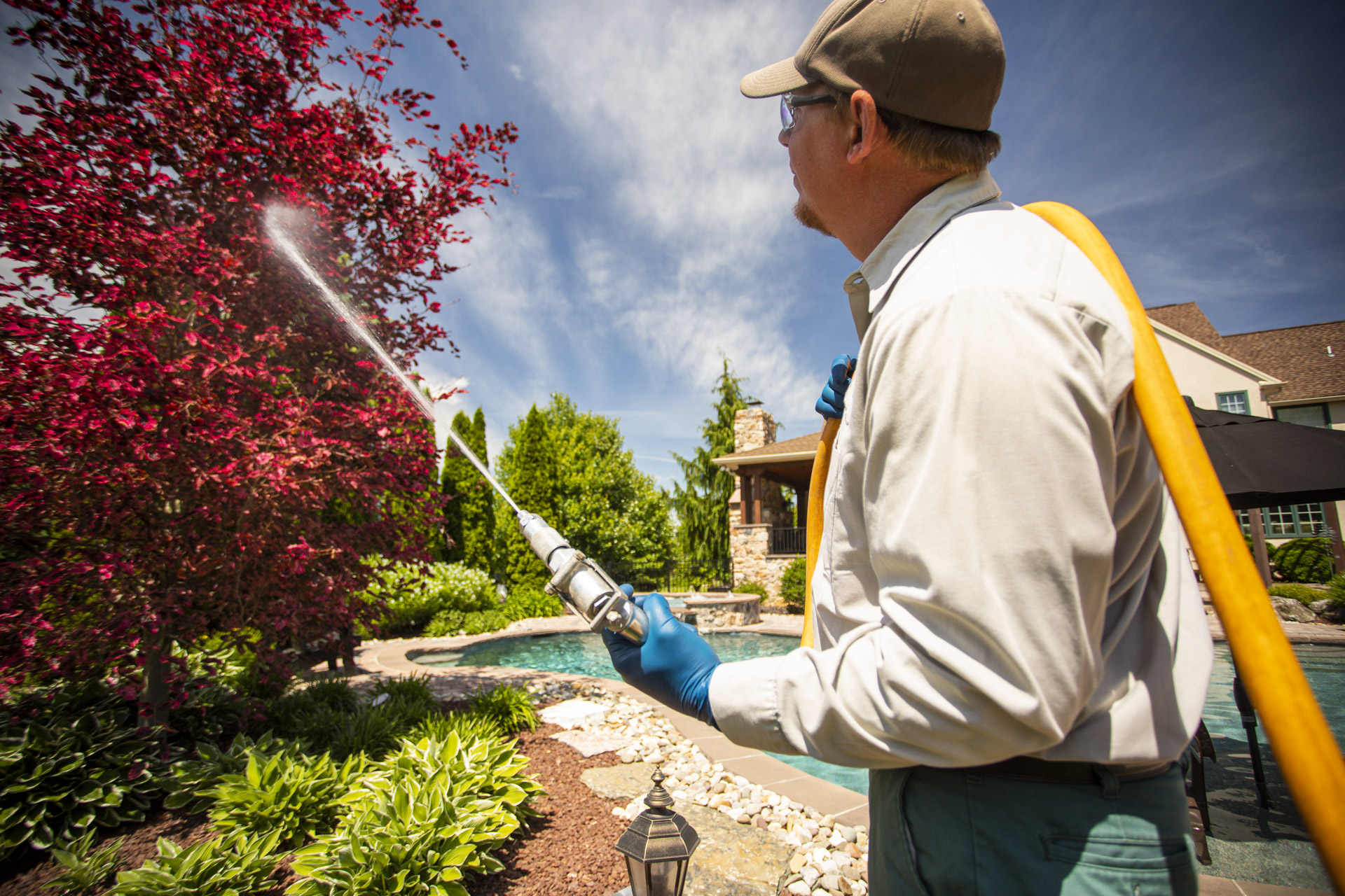 tree spraying technician