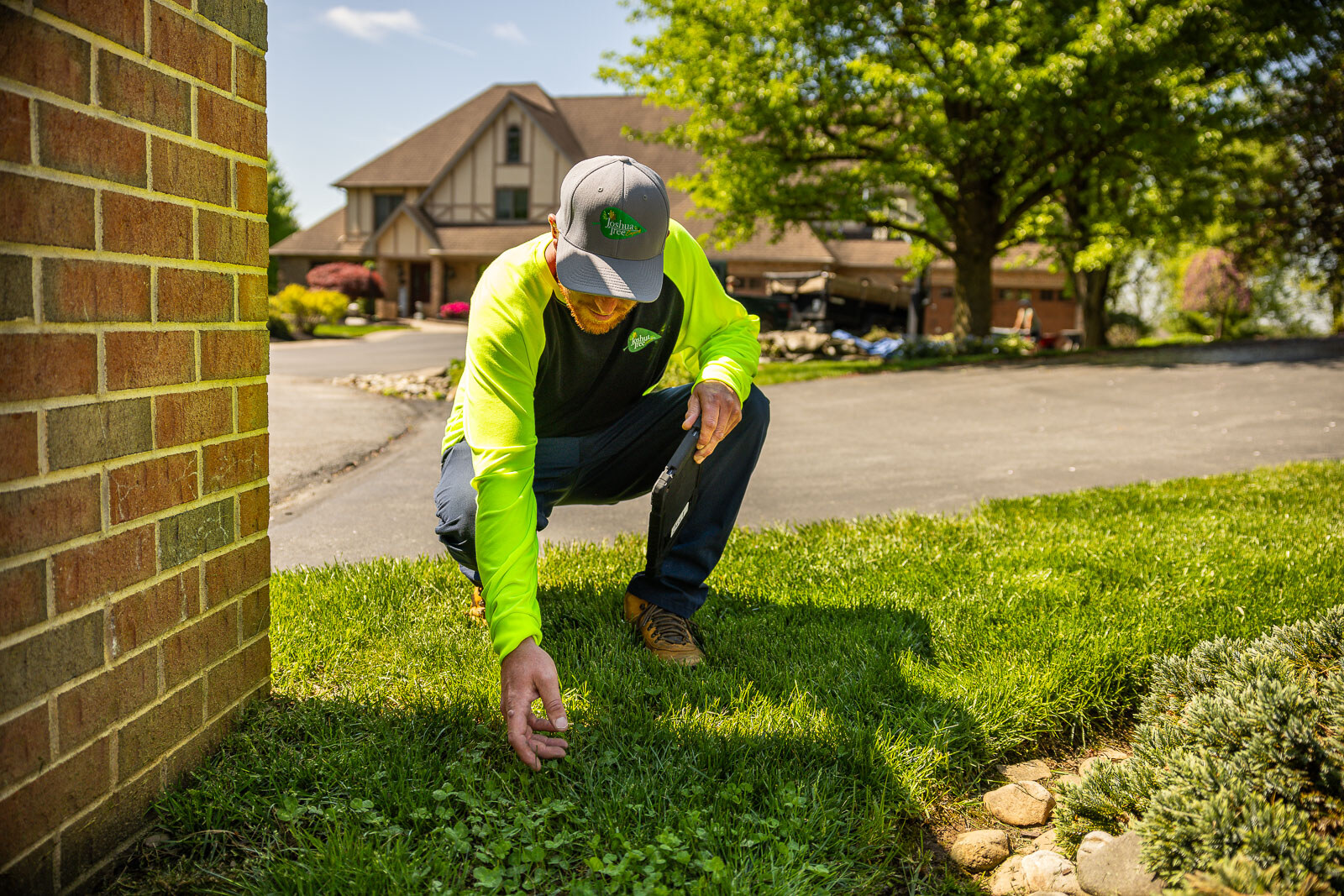 lawn care technician inspecting clover and lawn weeds near a house lawn care technician inspecting clover and lawn weeds near a house
