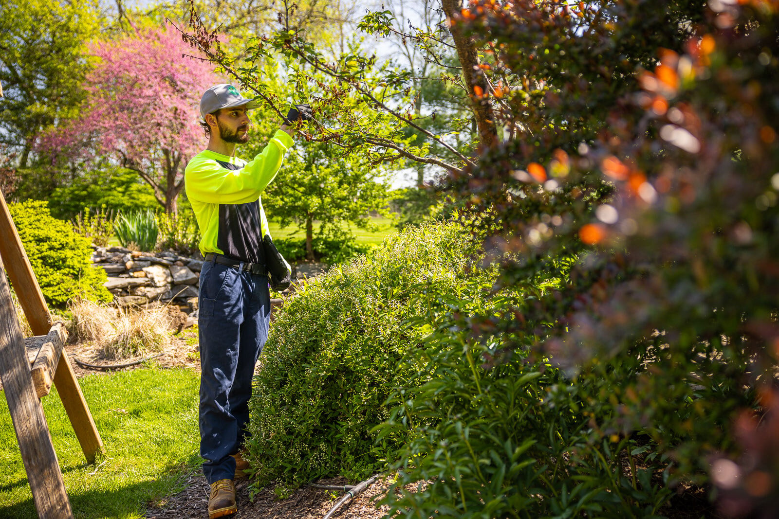 3 Tips to Protect Your Trees and Shrubs in Winter