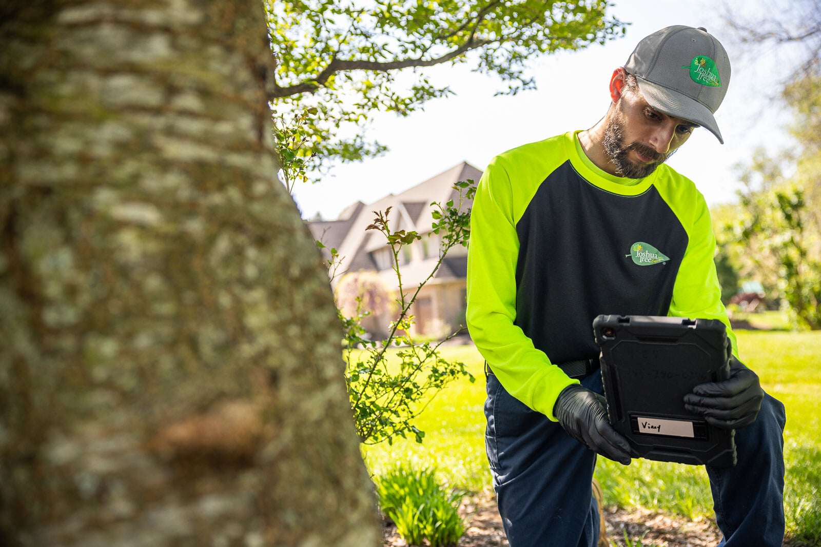 Why You Should Use a Certified Arborist for Your Tree Care Projects