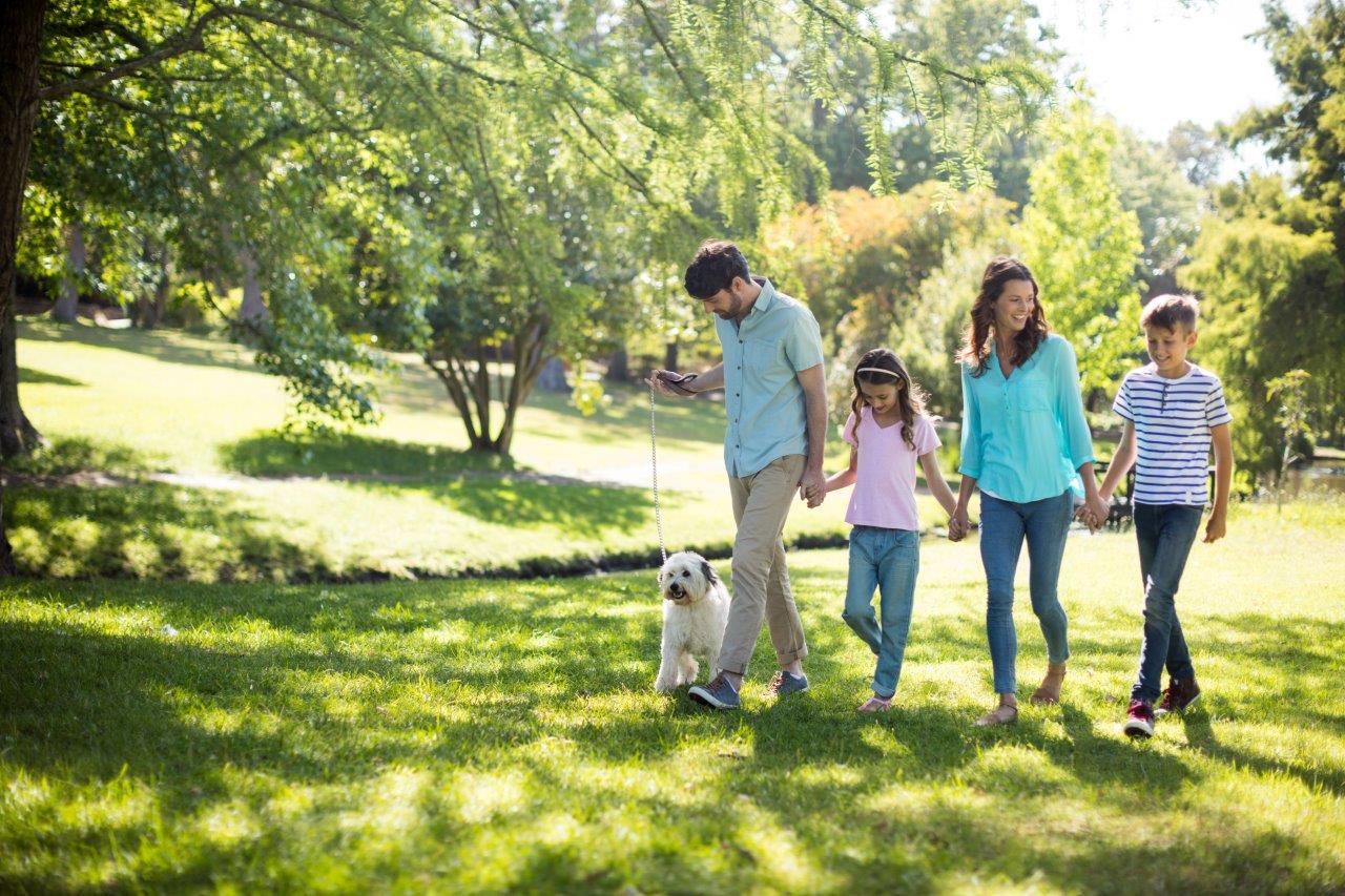 family and dog in lawn with healthy trees