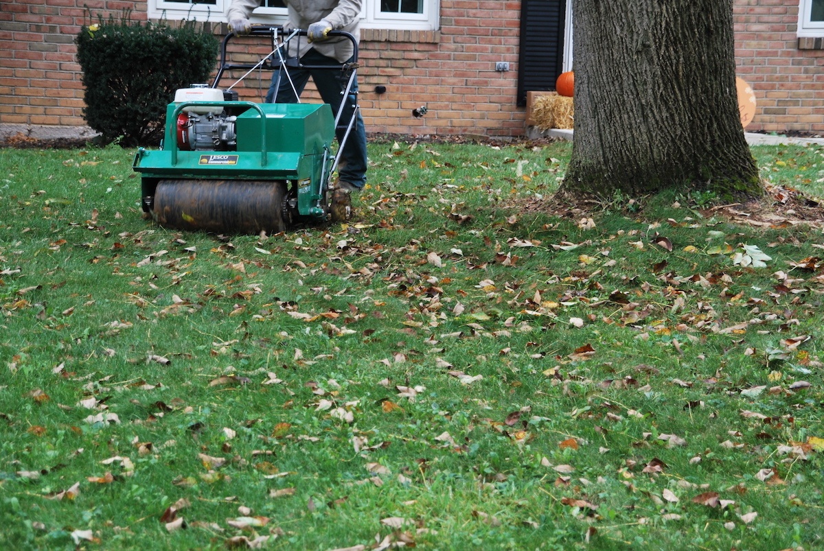 lawn aeration service