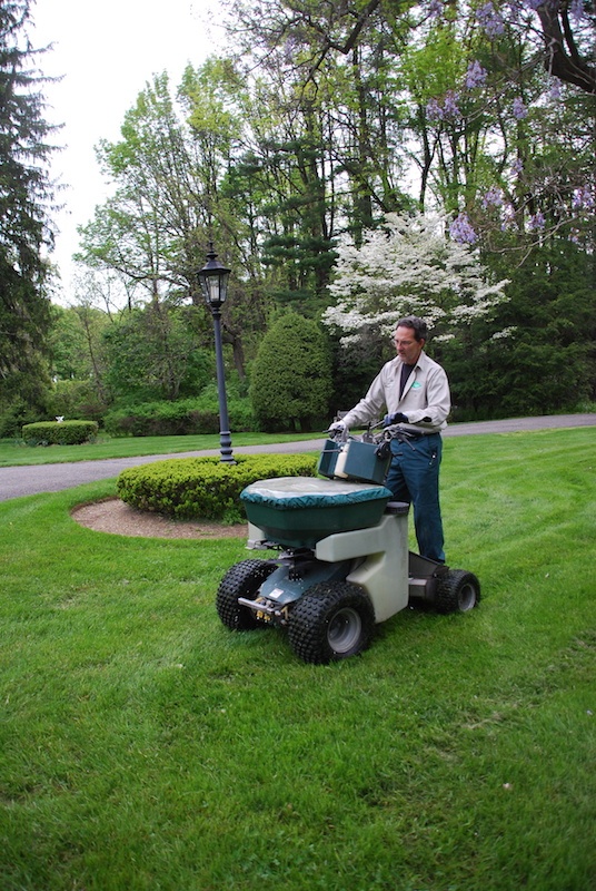 10 Lawn Maintenance Tips for a Thick, Green Lawn in ...